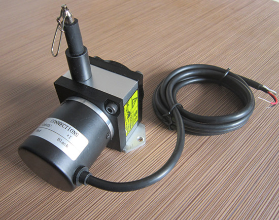 �����̖�������a�����Q�S���k��